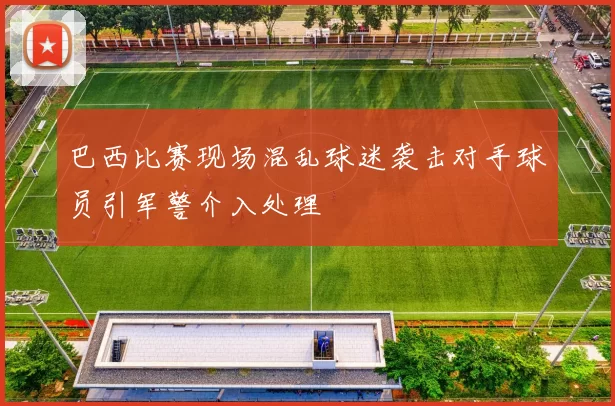 巴西比赛现场混乱球迷袭击对手球员引军警介入处理