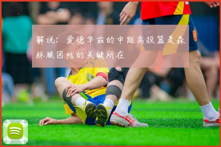 解说：爱德华兹的中距离投篮是森林狼团结的关键所在